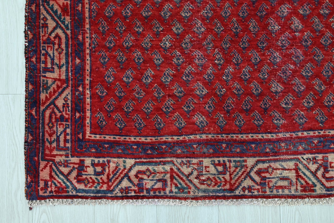 red Runner rug 3' 3" x 9' 4"
