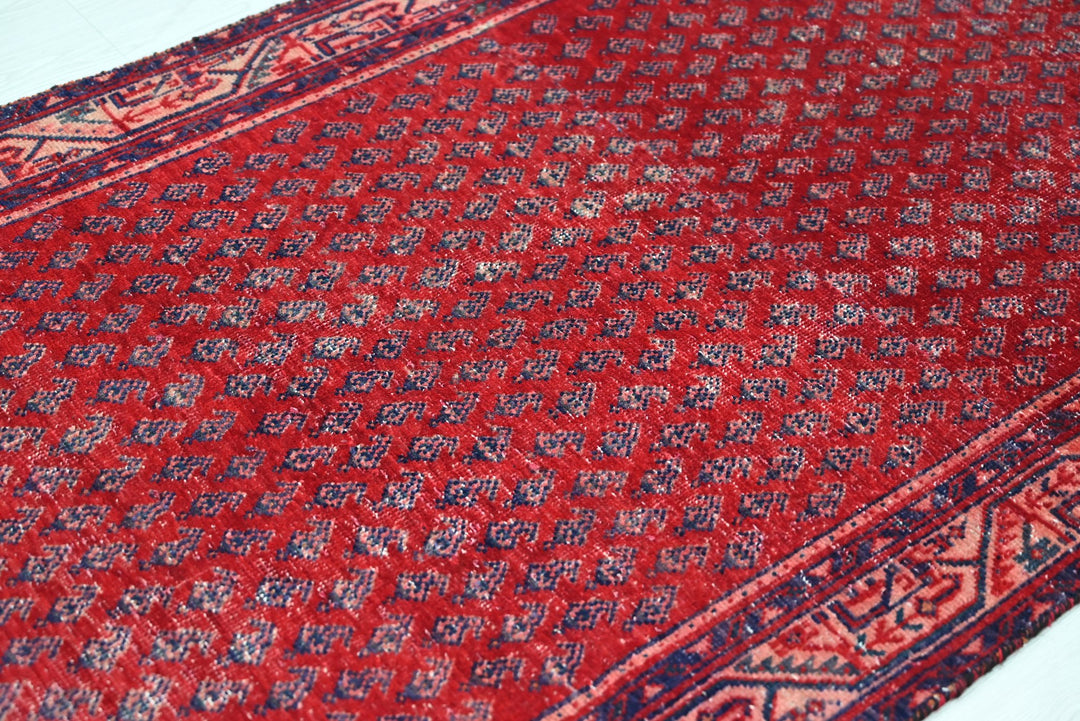 red Runner rug 3' 3" x 9' 4"