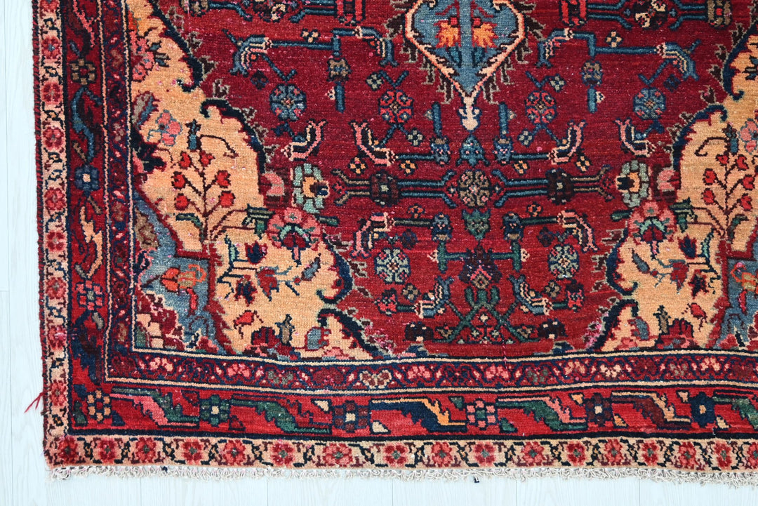 red Runner rug 3' 5" x 10' 2"