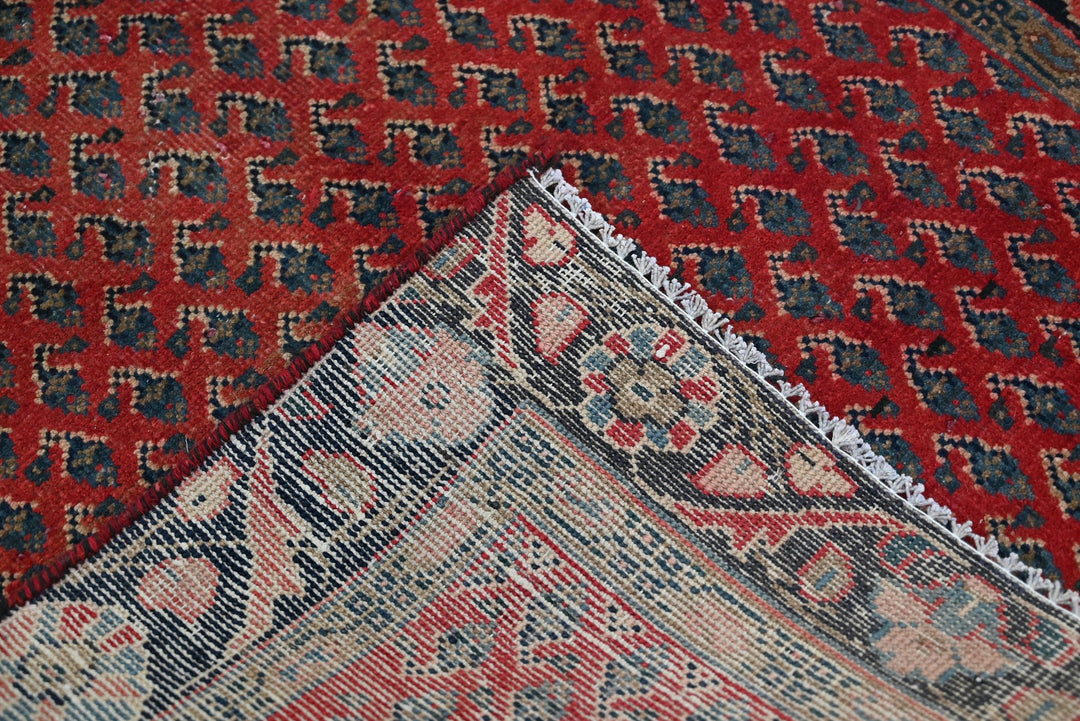 red Runner rug 3' 5" x 7' 10"