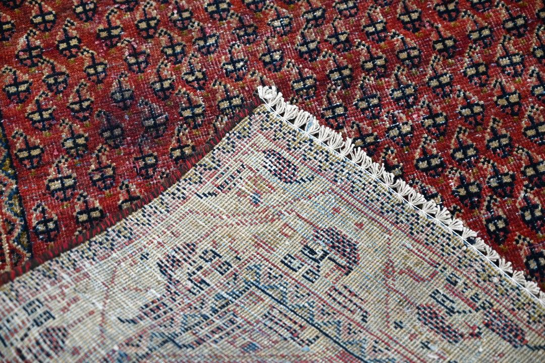 red Runner rug 3' 0" x 9' 7"