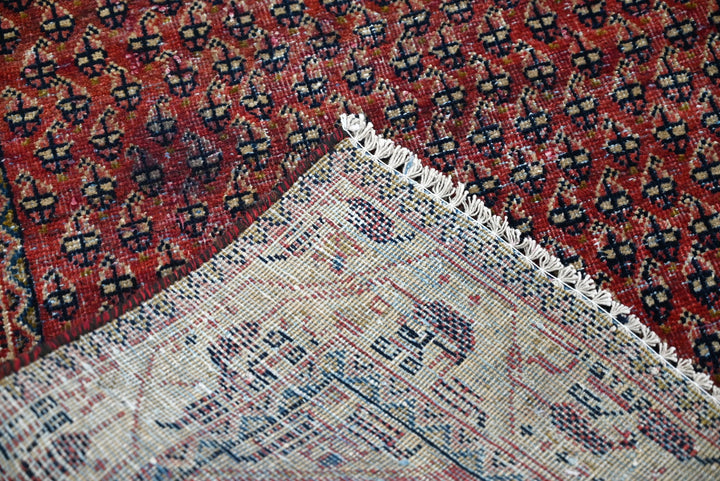 red Runner rug 3' 0" x 9' 7"