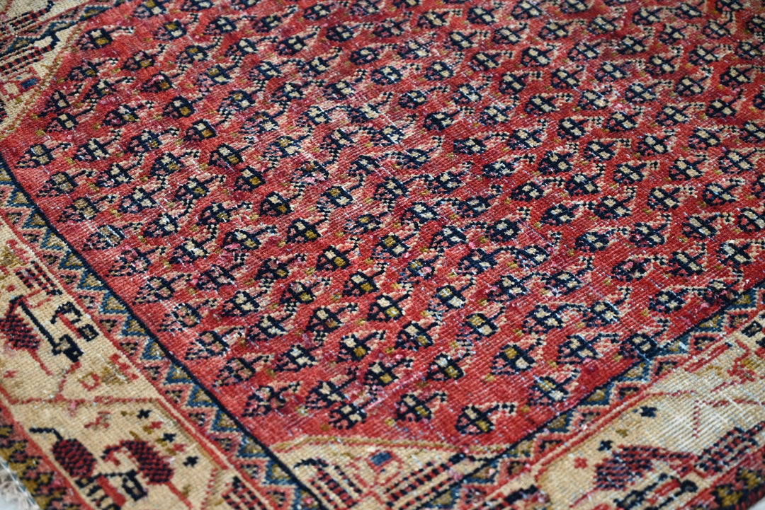 red Runner rug 3' 0" x 9' 7"