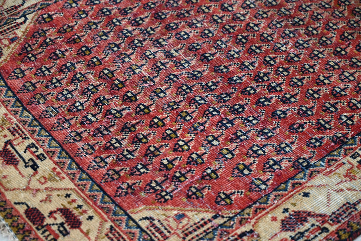 red Runner rug 3' 0" x 9' 7"