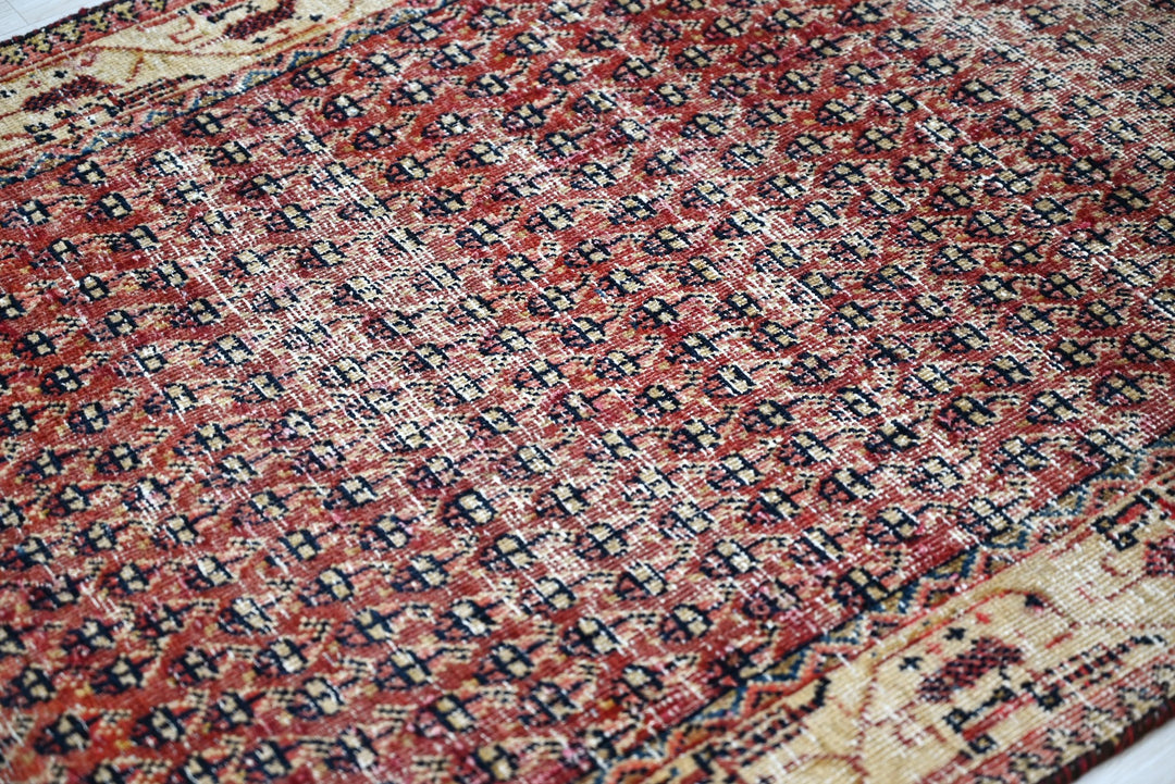 red Runner rug 3' 0" x 9' 7"
