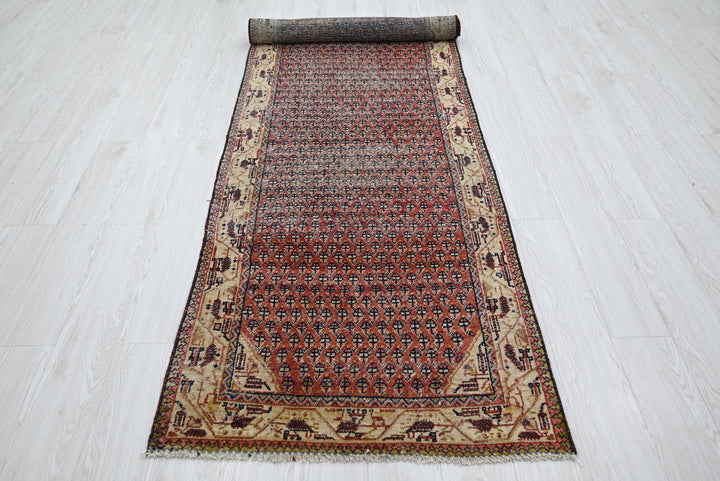 red Runner rug 3' 0" x 9' 7"