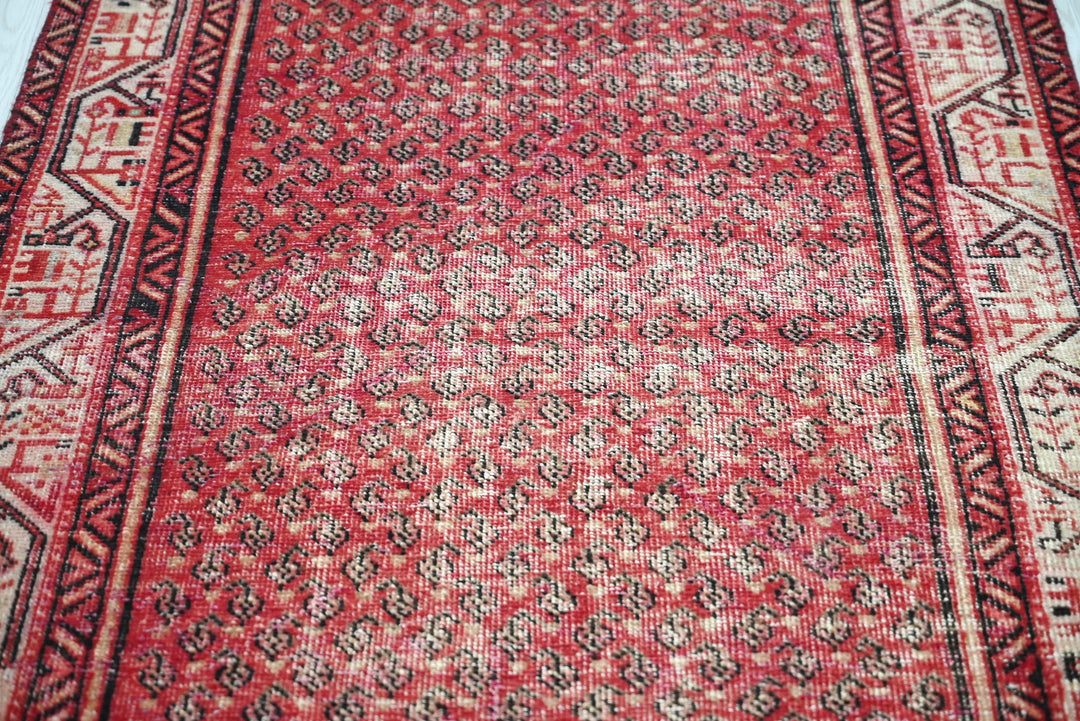 red Runner rug 3' 5" x 10' 3"
