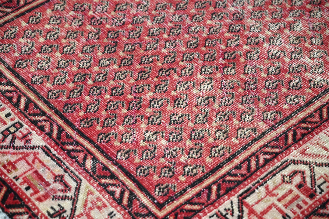 red Runner rug 3' 5" x 10' 3"