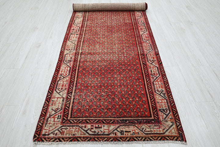 red Runner rug 3' 5" x 10' 3"