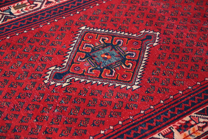 red Runner rug 3' 4" x 12' 10"