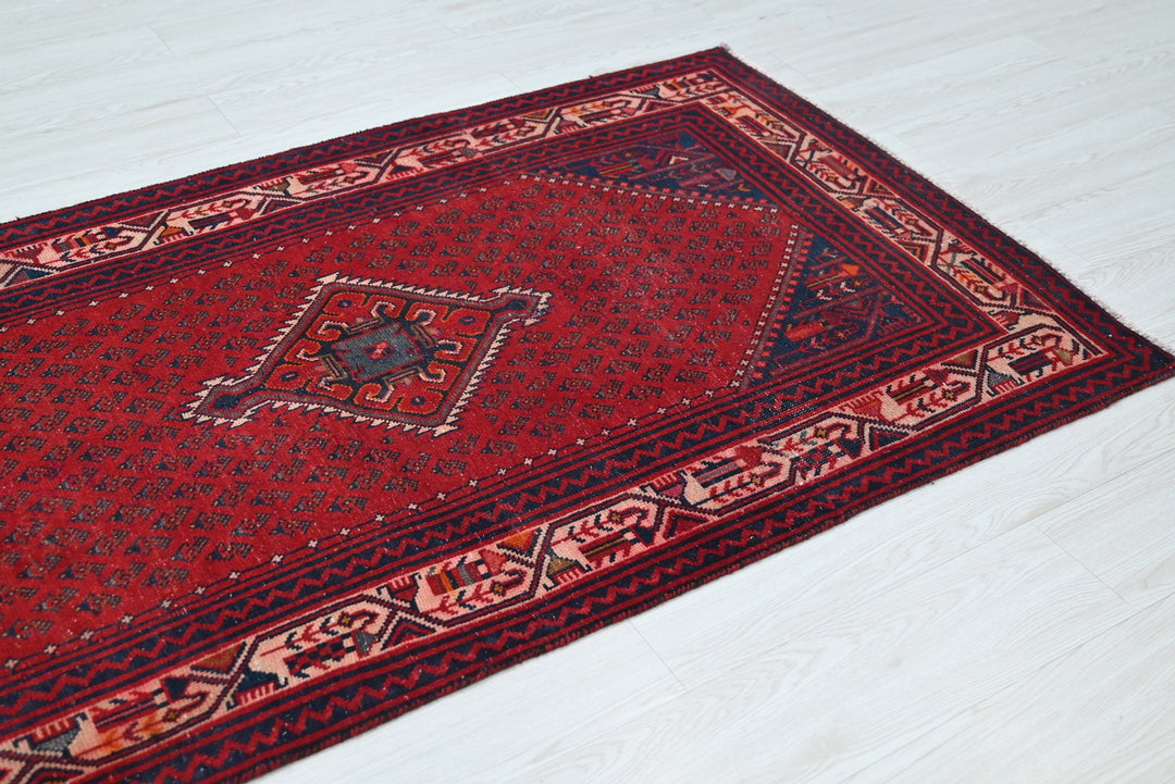 red Runner rug 3' 4" x 12' 10"