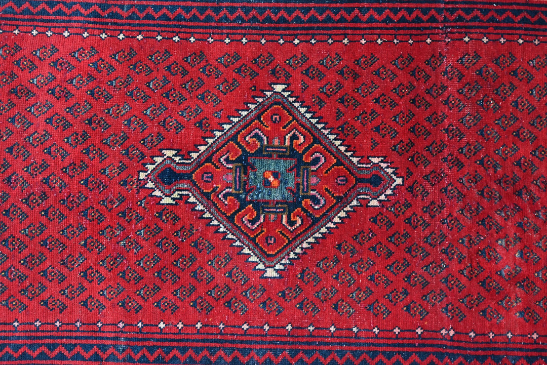 red Runner rug 3' 4" x 12' 10"
