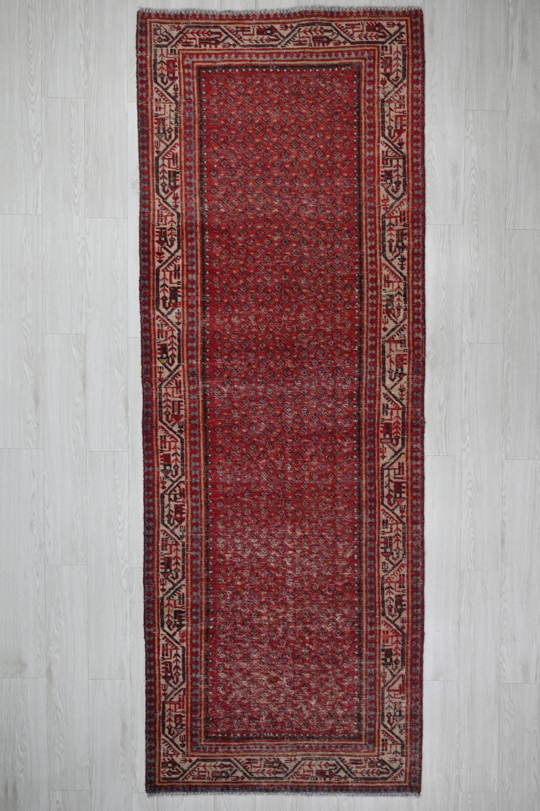 red Runner rug 3' 4" x 10' 2"