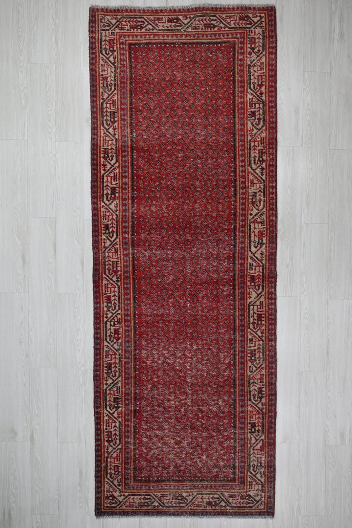 red Runner rug 3' 4" x 10' 2"