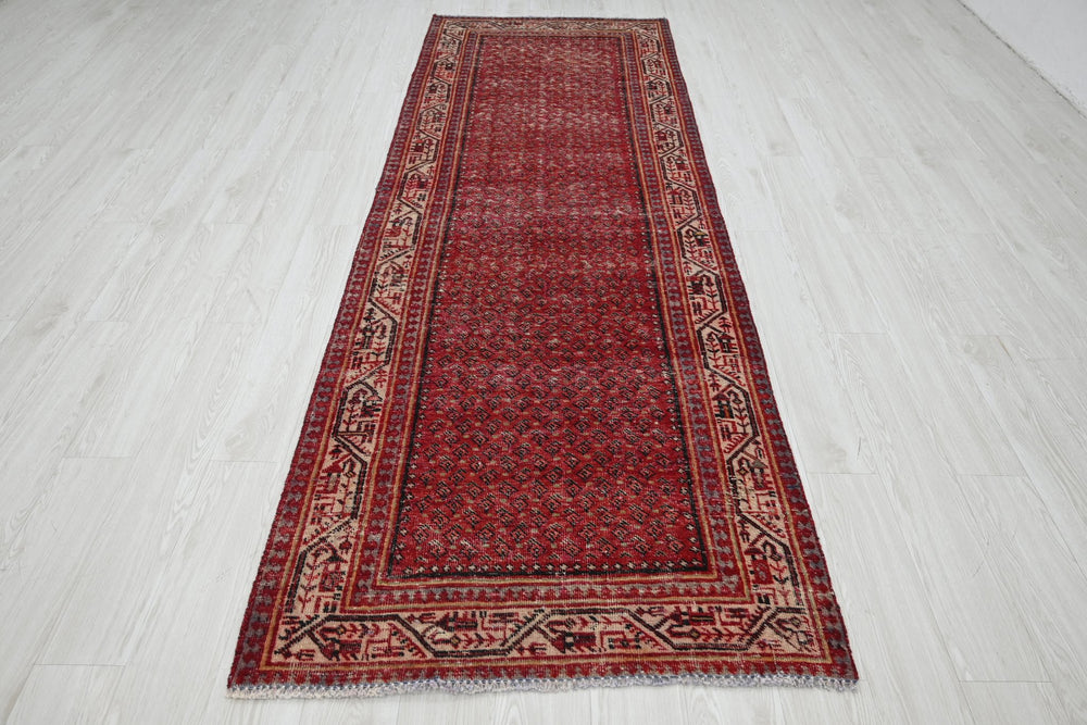 red Runner rug 3' 4" x 10' 2"
