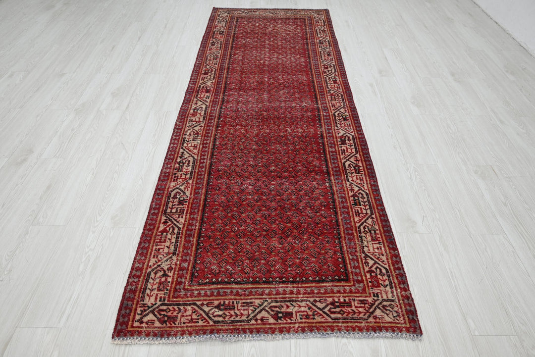 red Runner rug 3' 4" x 10' 2"