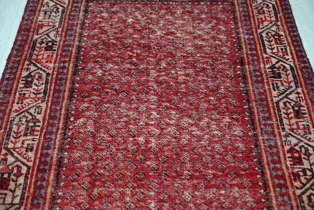 red Runner rug 3' 4" x 10' 2"