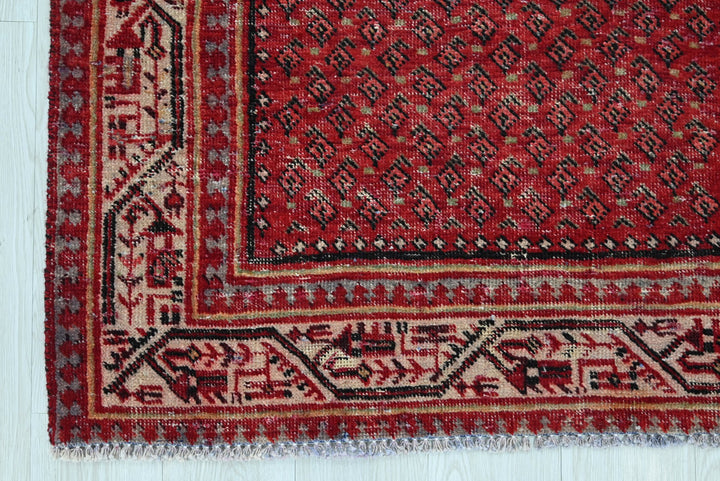 red Runner rug 3' 4" x 10' 2"