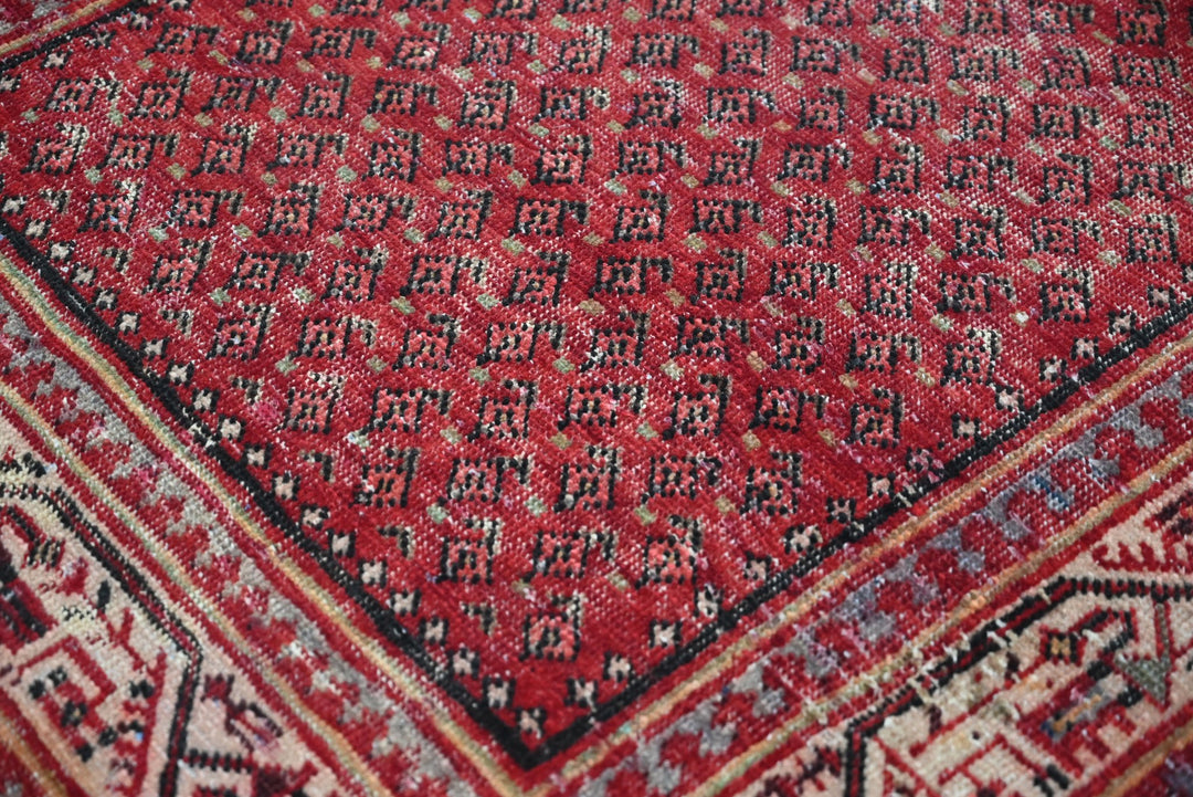 red Runner rug 3' 4" x 10' 2"
