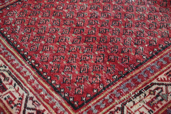 red Runner rug 3' 4" x 10' 2"
