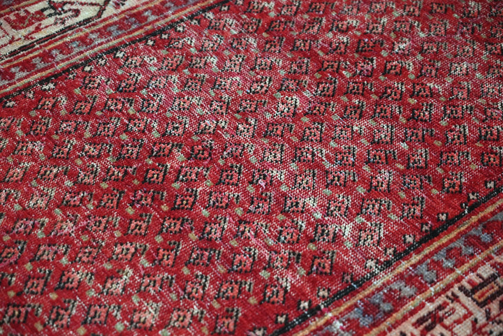 red Runner rug 3' 4" x 10' 2"