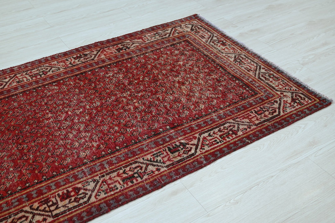 red Runner rug 3' 4" x 10' 2"