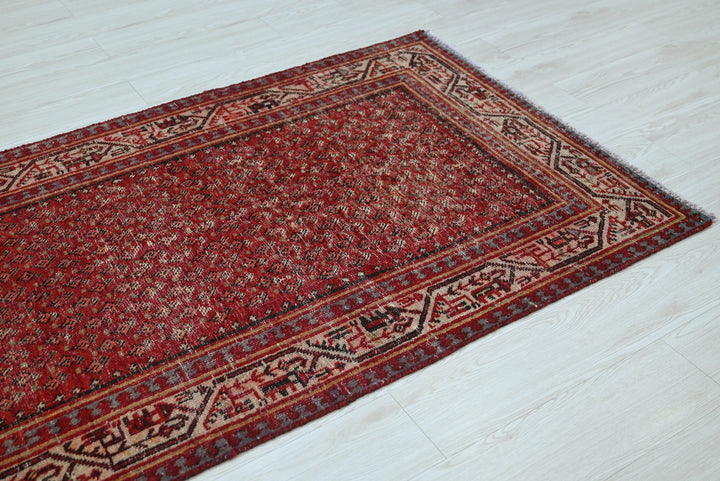 red Runner rug 3' 4" x 10' 2"