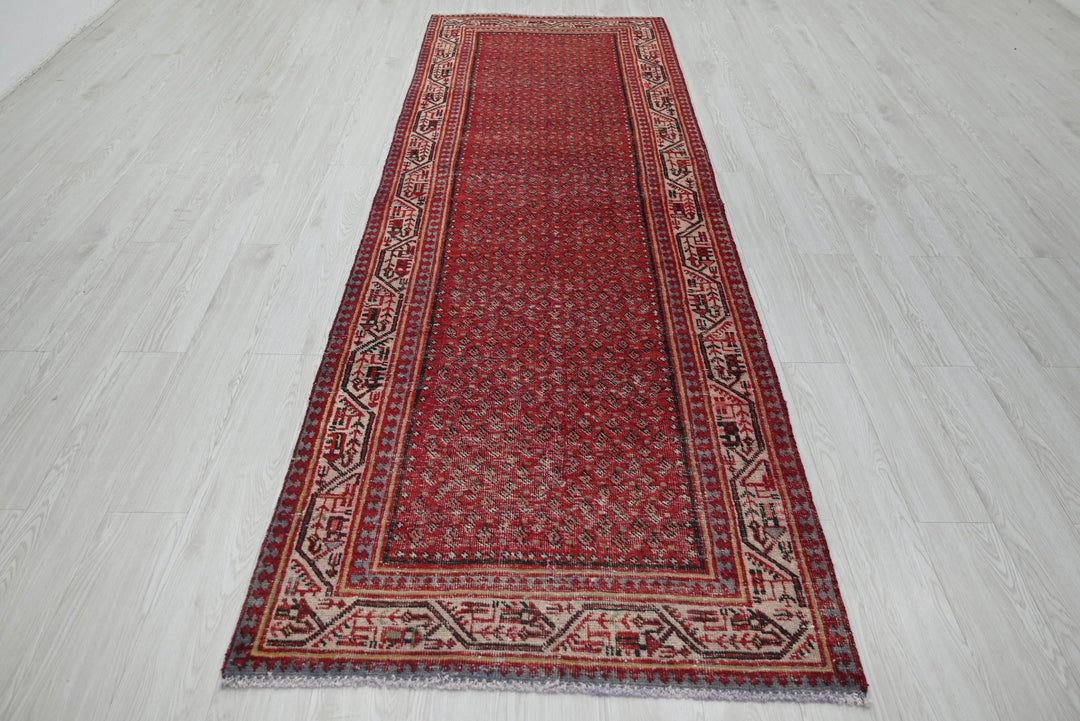 red Runner rug 3' 4" x 10' 2"