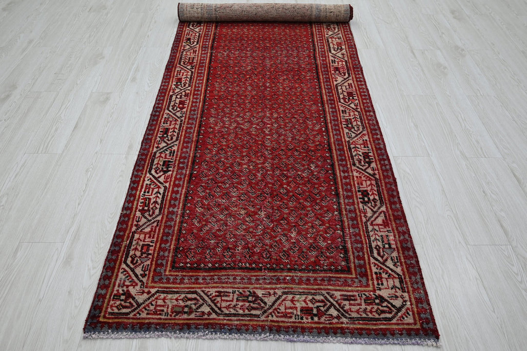 red Runner rug 3' 4" x 10' 2"