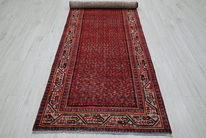 red Runner rug 3' 4" x 10' 2"