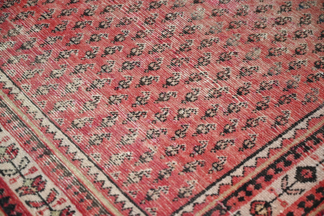 red Runner rug 3' 6" x 10' 1"