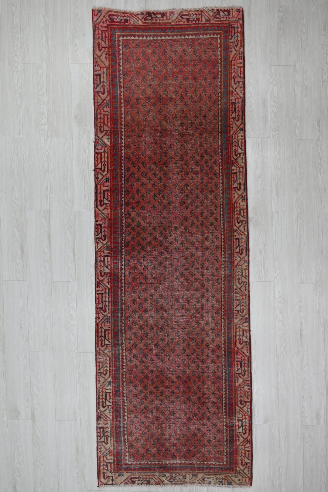 red Runner rug 3' 1" x 9' 10"