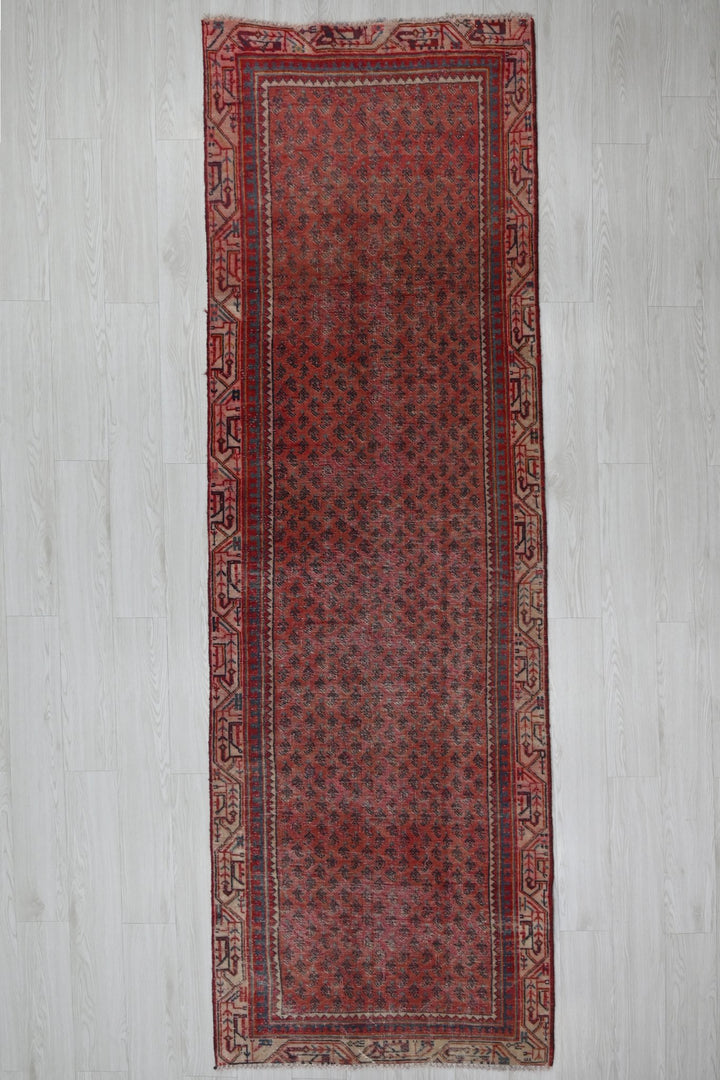 red Runner rug 3' 1" x 9' 10"