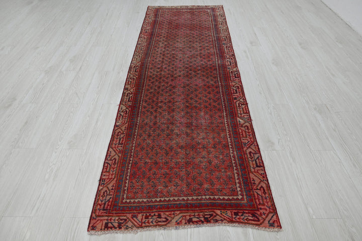 red Runner rug 3' 1" x 9' 10"