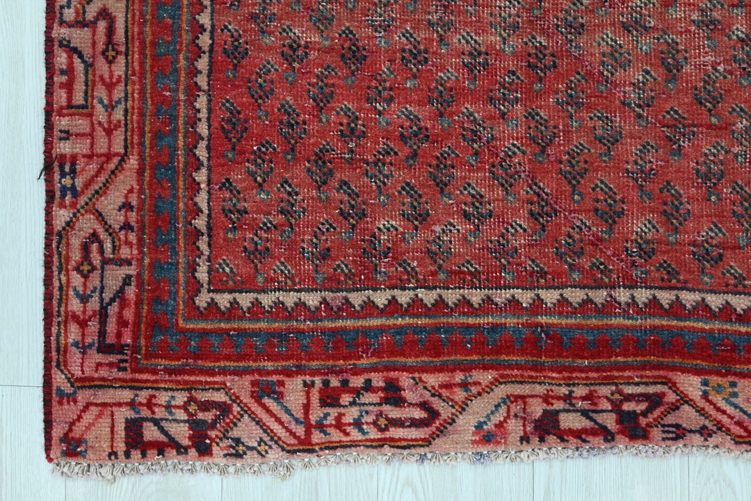 red Runner rug 3' 1" x 9' 10"