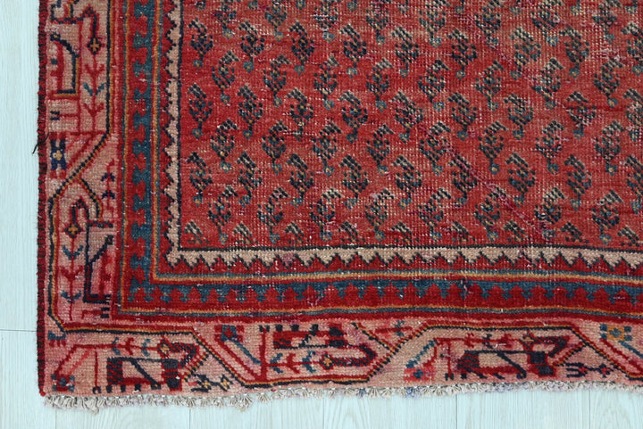 red Runner rug 3' 1" x 9' 10"