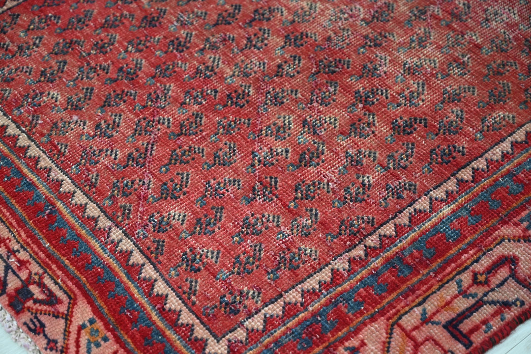 red Runner rug 3' 1" x 9' 10"