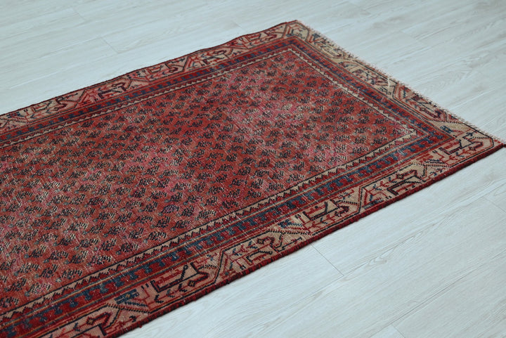 red Runner rug 3' 1" x 9' 10"