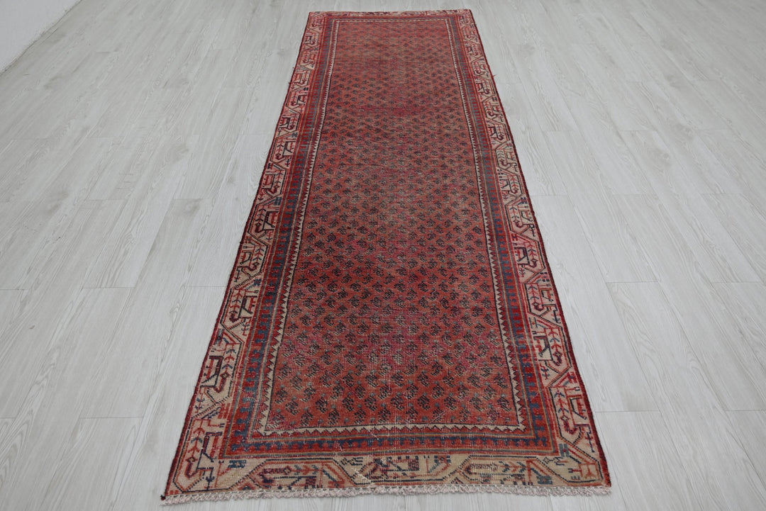 red Runner rug 3' 1" x 9' 10"