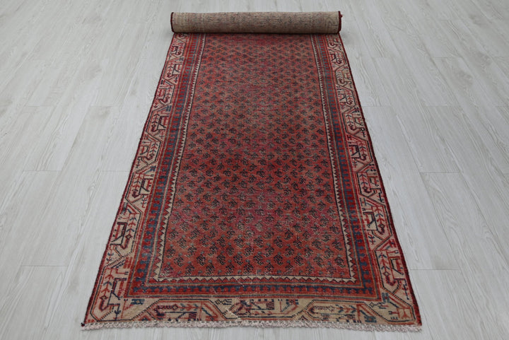 red Runner rug 3' 1" x 9' 10"