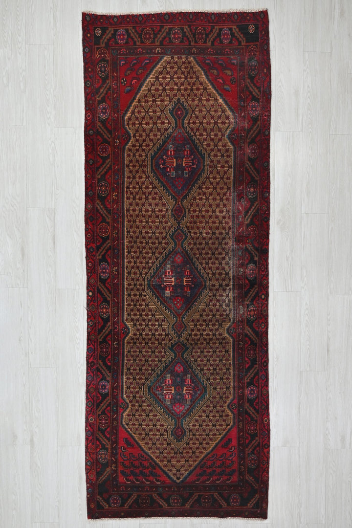 brown Runner rug 3' 4" x 9' 6"