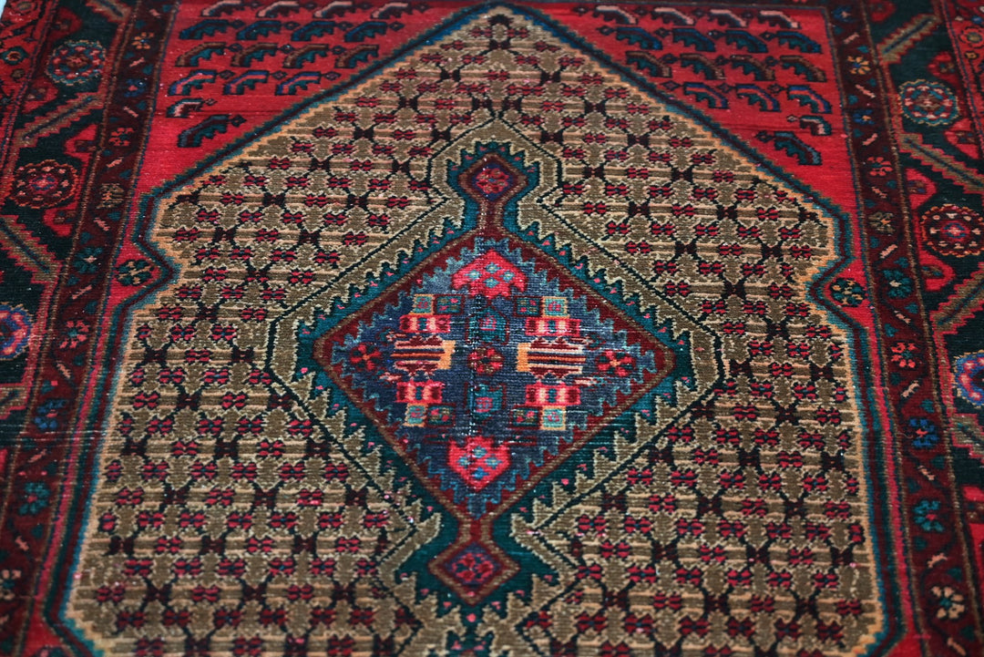 brown Runner rug 3' 4" x 9' 6"