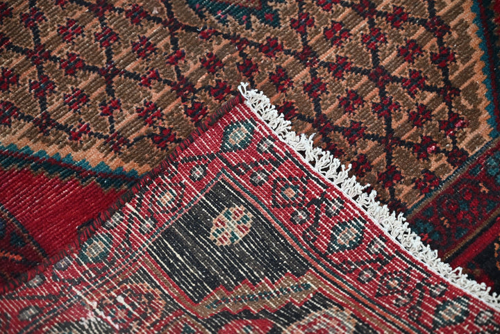 brown Runner rug 3' 4" x 9' 6"