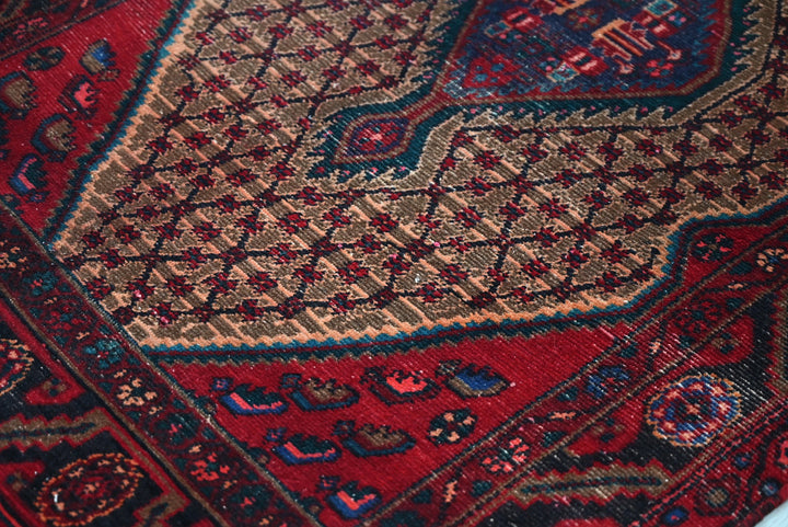 brown Runner rug 3' 4" x 9' 6"