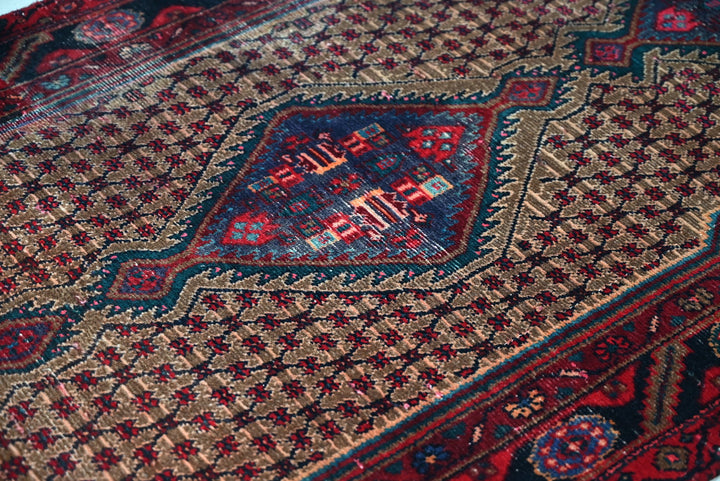 brown Runner rug 3' 4" x 9' 6"