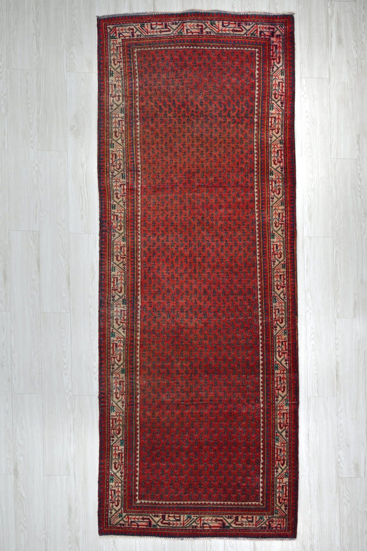 red Runner rug 3' 4" x 9' 10"