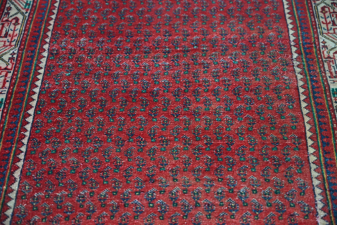 red Runner rug 3' 4" x 9' 10"