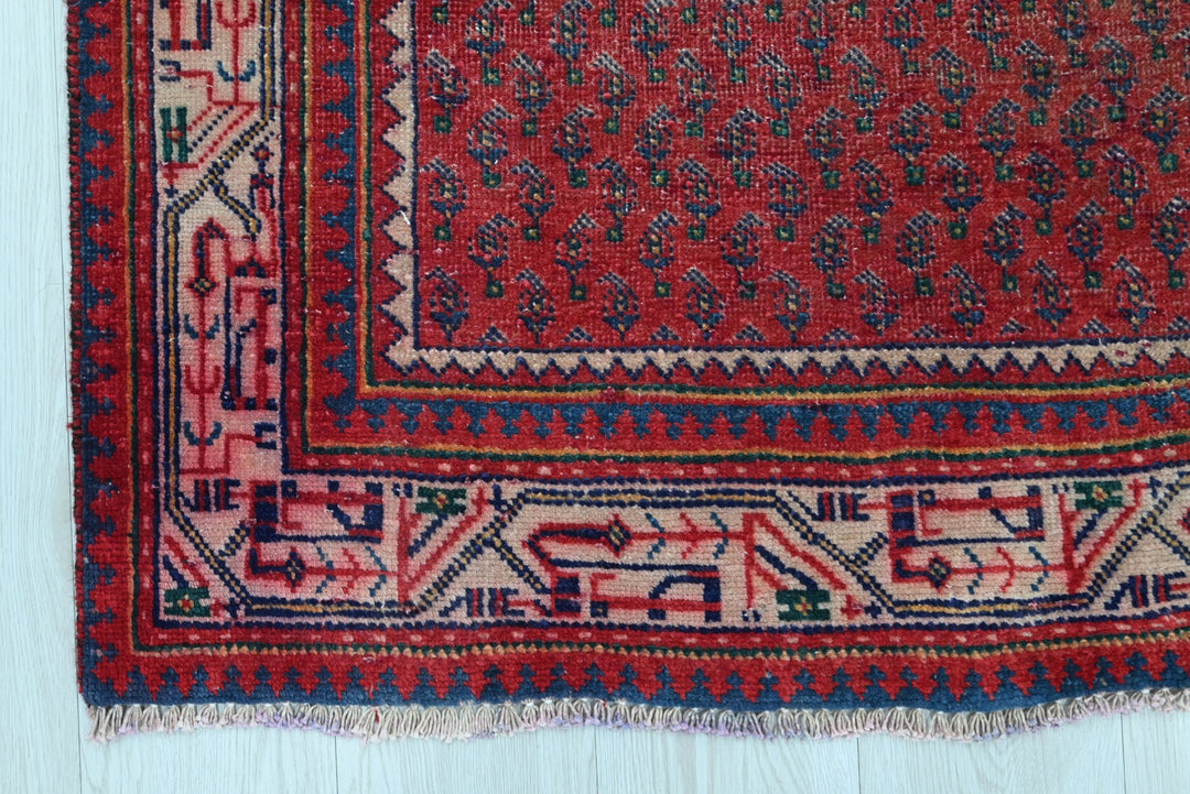 red Runner rug 3' 4" x 9' 10"