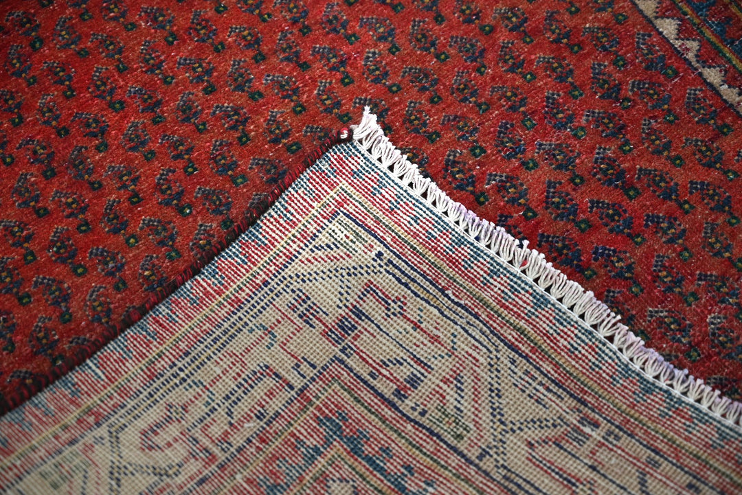 red Runner rug 3' 4" x 9' 10"