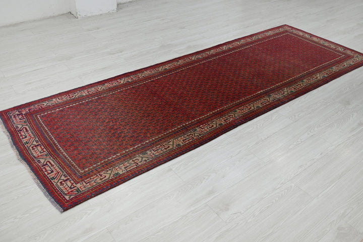 red Runner rug 3' 4" x 9' 10"